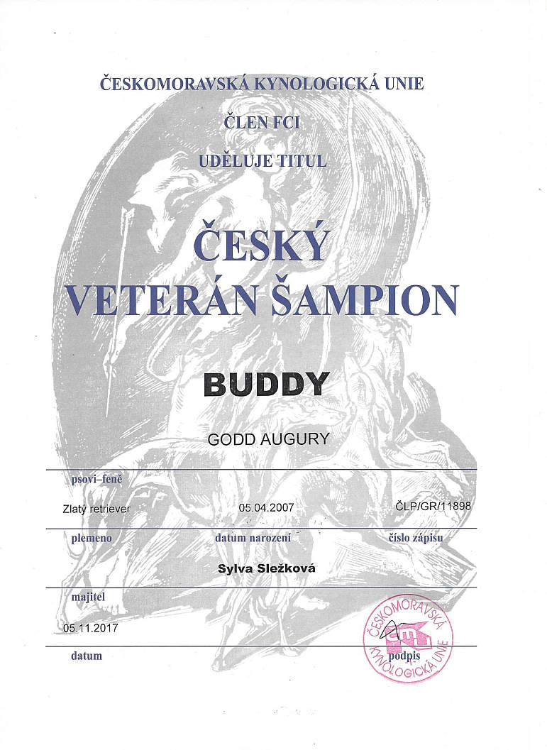 DSC_0624 Český veterán šampión - Buddy