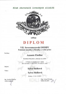 01-diplom-sm-derby.jpg